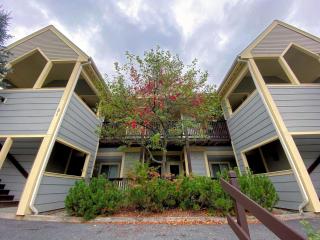 SC27 Family style Bretton Woods condo - Carroll - 0