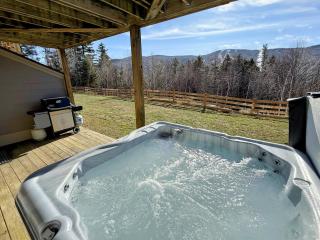 SH5 Luxurious Stone Hill Townhome - Carroll - 7