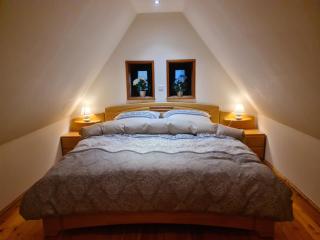 Gästehaus zum Rosengarten - Dresden - 2