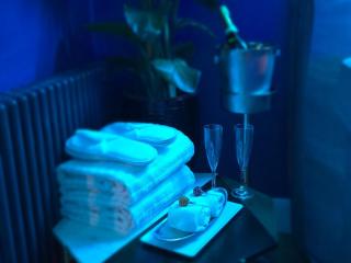 The NEW Blue Horse Suite at The Grumpy Schnauzer B&B Luxury Private Indoor Hot Tub Breakfast in Bed - Airdrie - 5