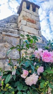 Trullo Amalia - Latiano - 9