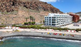 Flamingo Palmar - Palm-mar - 1