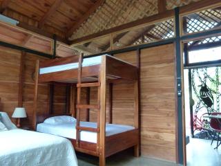 Nicoya Silvestre - Lepanto - 5