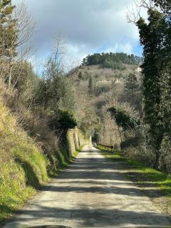 La sosta al lago - Londa - 1