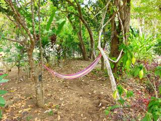 Nicoya Silvestre - Lepanto - 5