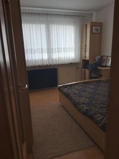 Newly Renovated - Stylish 3-Room Flat with Balcony - Central & Exklusive Parking Spot - Halle an der Saale - 8