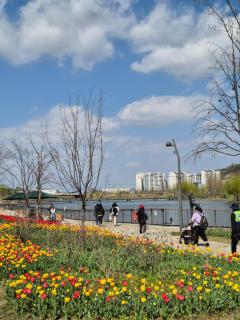 Staylim - Seoul Botanic Park, Airport - Seul - 6