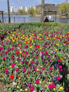Staylim - Seoul Botanic Park, Airport - Seul - 5