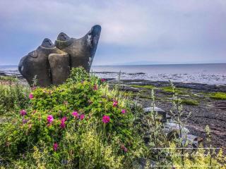 Loft du Cap - Kamouraska - 6