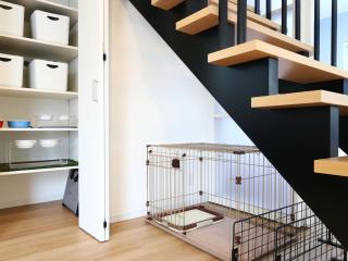 Dog Resort D&K-ドッグリゾートD&K- - 2