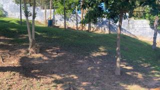 Chácara Recanto Victória - Caieiras - 9