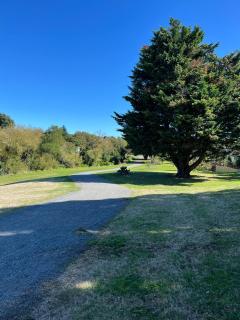 Jen's Oasis - Paraparaumu - 9