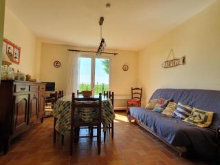 Maison agréable entre mer et campagne, proche plage et centre-ville, animaux permis - FR-1-476-98 - 9