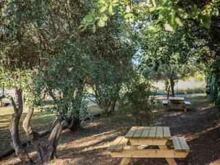 ibis budget Le Cannet des Maures - Le Cannet-des-Maures - 8