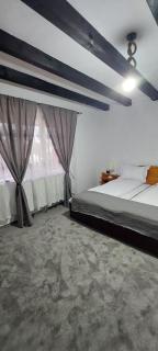 Cabana Izvorul Miclăușa - Vama - 6