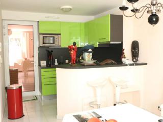 Villa de Maître 6 Chambres avec Piscine et Jacuzzi - FR-1-768-119 - Roquebrune-sur-Argens - 1