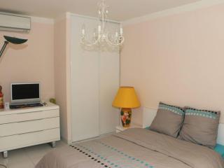Villa de Maître 6 Chambres avec Piscine et Jacuzzi - FR-1-768-119 - Roquebrune-sur Argens - 1