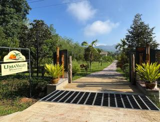 Uma Valley Homestay - - 7