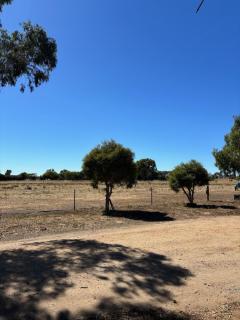 Farm Stay 5 minutes from town - Yarrawonga - 9