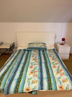 Erholung pur mit Aussicht und Alpakas zum Angreifen nahe! - 4