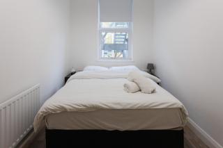 Belfast Boutique Apartment for 2 - 5