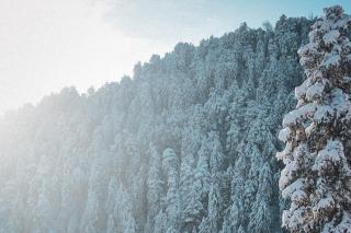 Solisvista Stays - 9