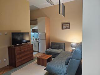 Zlatiborski šumski stan - 7