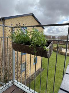 Stor og Lys Lejlighed i Hjertet af Holstebro - 5