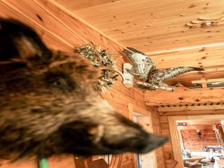 Rustic Hut Salzburg near Ski Slopes - 6