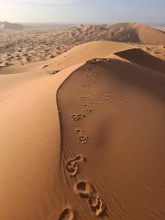 Morocco Deluxe Camp - Assif n'Itrane - Lac Yasmins - 9