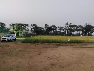GuestOwnFarm - Vemalwāda - 8