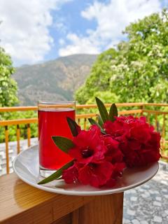 Nirmaya Resort - Kanatal - 9