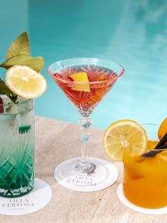 Villa Certosa Boutique Hotel Capri - 3