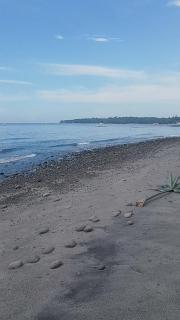 Apo Breeze Resort - Sampong - 4