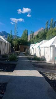 De Reeva Camp - Hundar - 3