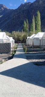 De Reeva Camp - Hundar - 1