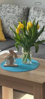 Apartamenty Bursztynowe - Dębki - 3