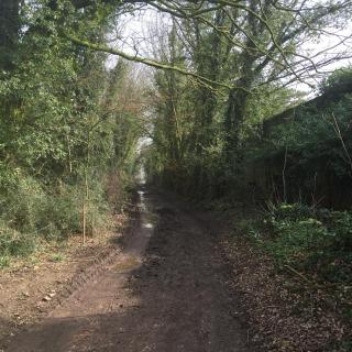 Wayside , 3 bed , 2 bath charming house close to Lincoln - 6