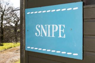 Snipe - Bleasdale - Chipping - 5