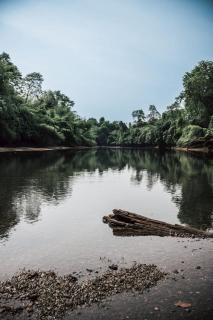 ฟาร์มดั๊กรีสอร์ท Farm Duck Resort - Ban Thong Pha Phum - 4