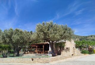 Alexena Apartments - Agia Galini - 2