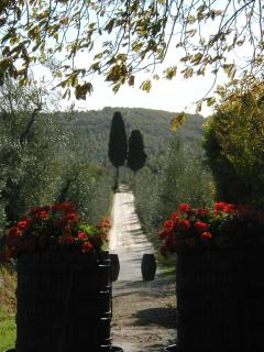 Landgut Biancospino Mit Gemeinschaftspool - San Donato in Poggio - 3