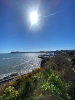 Sea Front Hideaway - Scarborough - 6