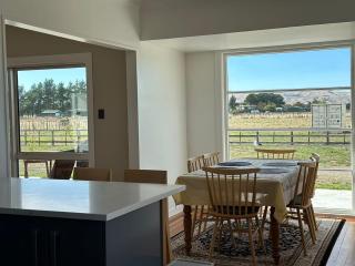 Greytown Martinborough mansion - Greytown - 9