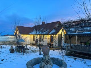 Shahdag Suvacal House - 6