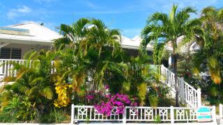 Antilles Liberte - Sainte-Anne - 7