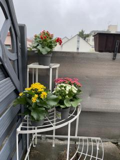 Beautiful bright apartment for 4 with privacy - Pforzheim - 4