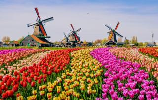 1-2 pp ROOM AMS Airport great view lake - Roelofarendsveen - 6