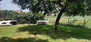 El Gallo Azul - Oruña - 1