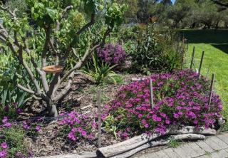 Rockleigh escape - - 1